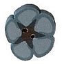 Tiny Williams Blue Flower